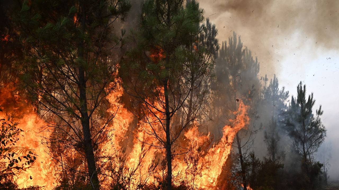 Waldbrände in Frankreich