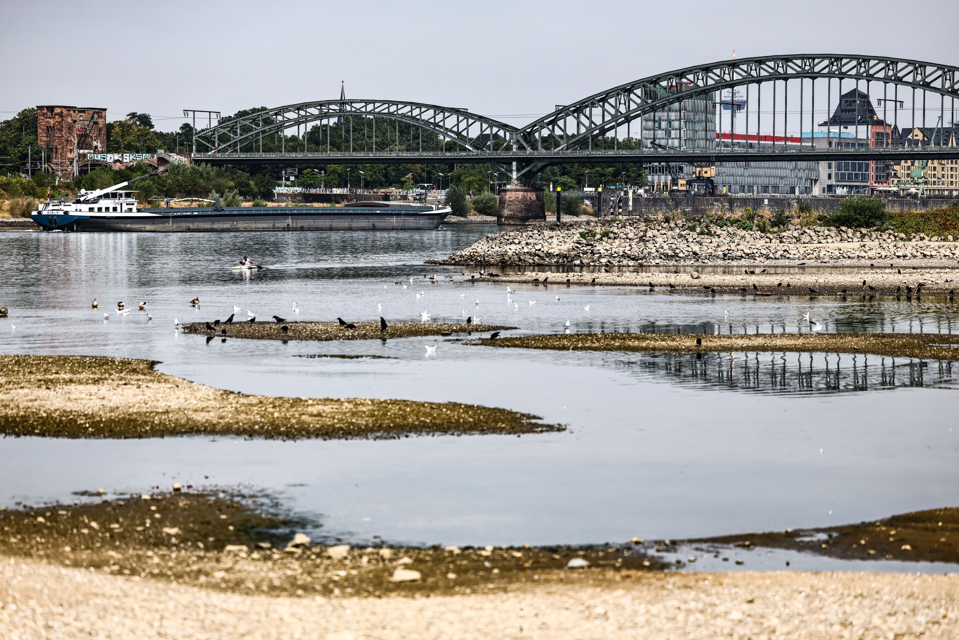 Ein Binnenschiff fährt am 31. Juli bei niedrigem Pegelstand unter der Südbrücke über den Rhein.