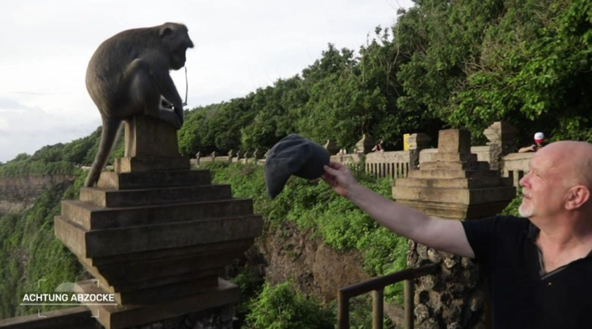„Haben die Tiere hier eine Seeschwäche?“, scherzt Peter Giesel. Ein Affe hat soeben seine Brille getauscht. Nun bietet Giesel seine Kappe zum Tausch an. (Bild: Joyn)