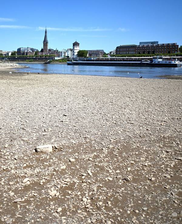 Niedrigwasser im Rhein