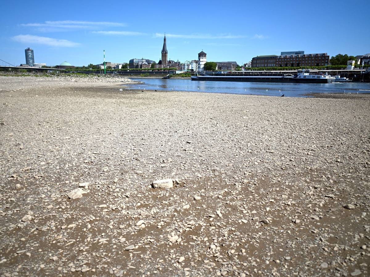 Niedrigwasser im Rhein