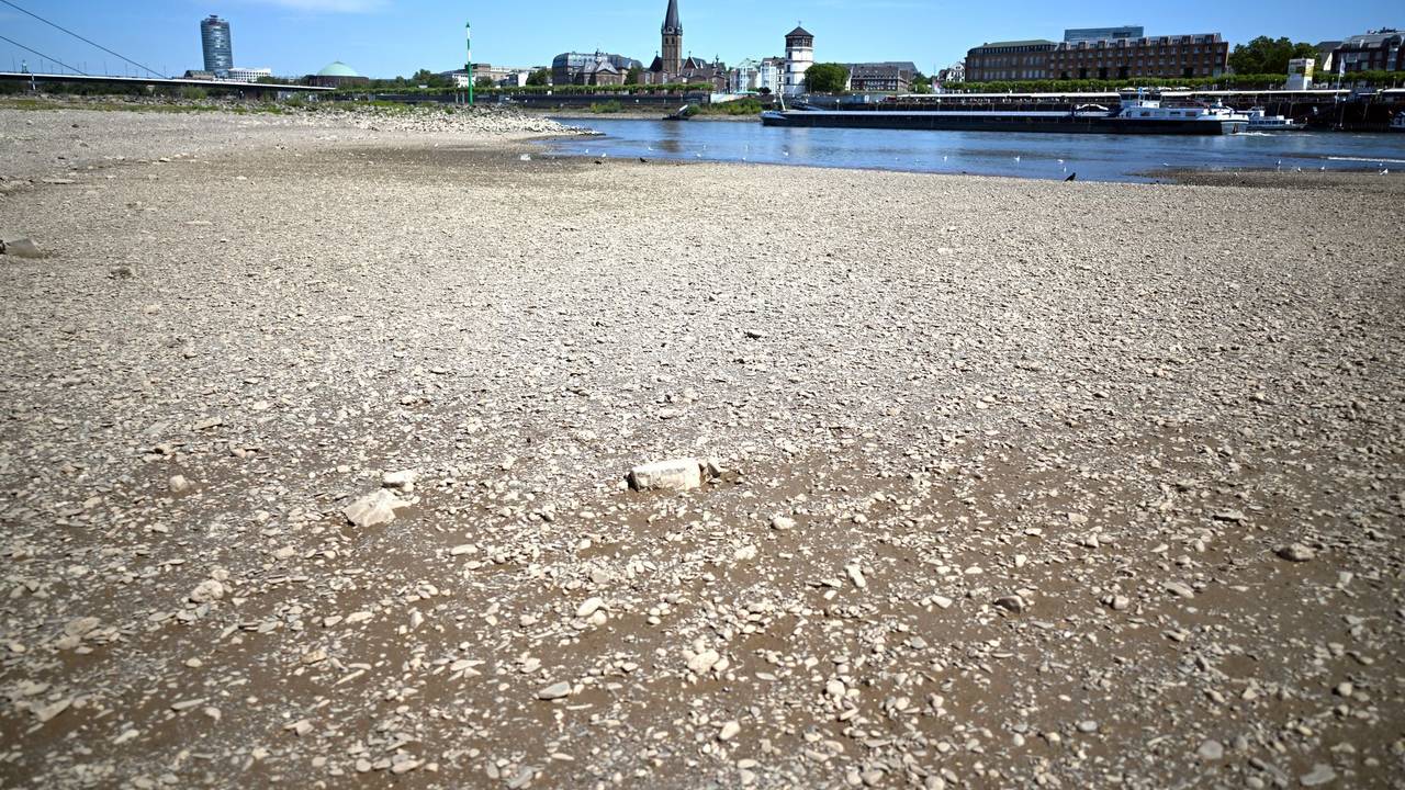 Niedrigwasser im Rhein