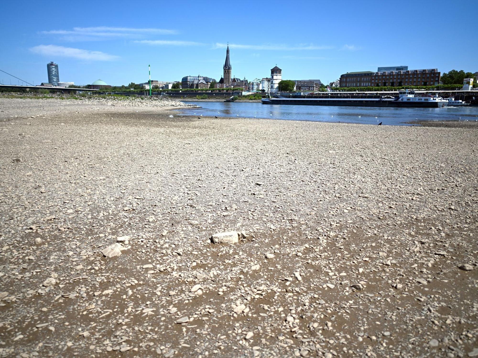 Niedrigwasser im Rhein