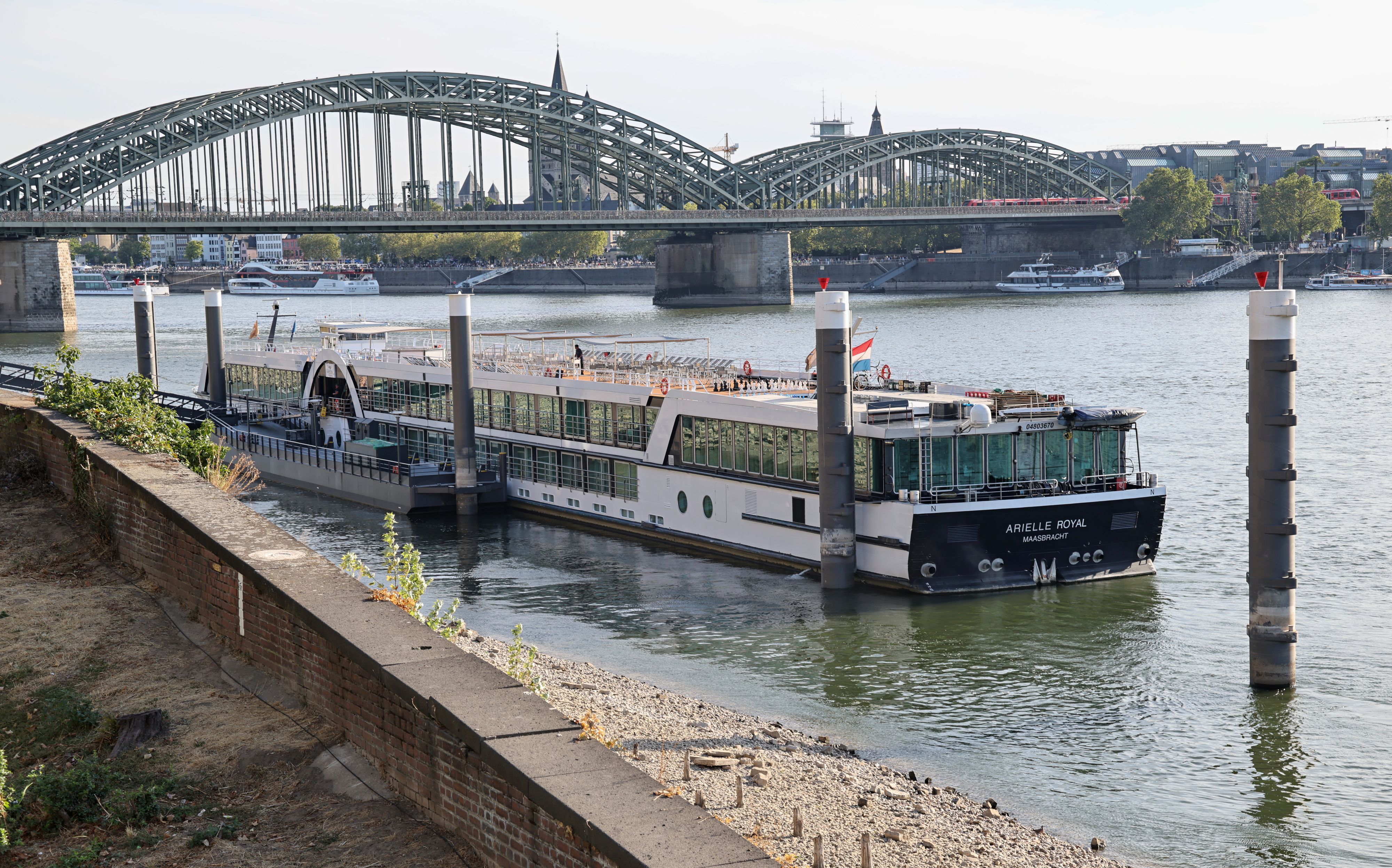 Die Arielle Royal liegt am Kölner Rheinufer.