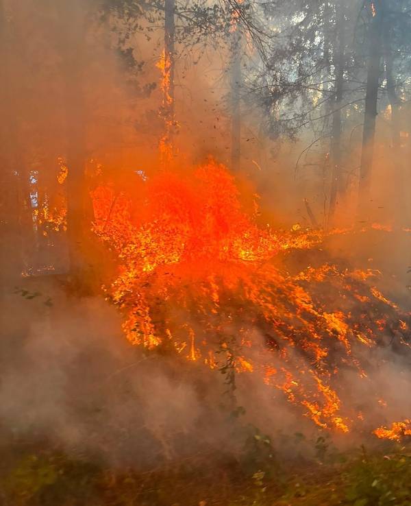 Waldbrand nahe der Ortschaft Wielspütz (bei Mechernich) am 30. August 2026.