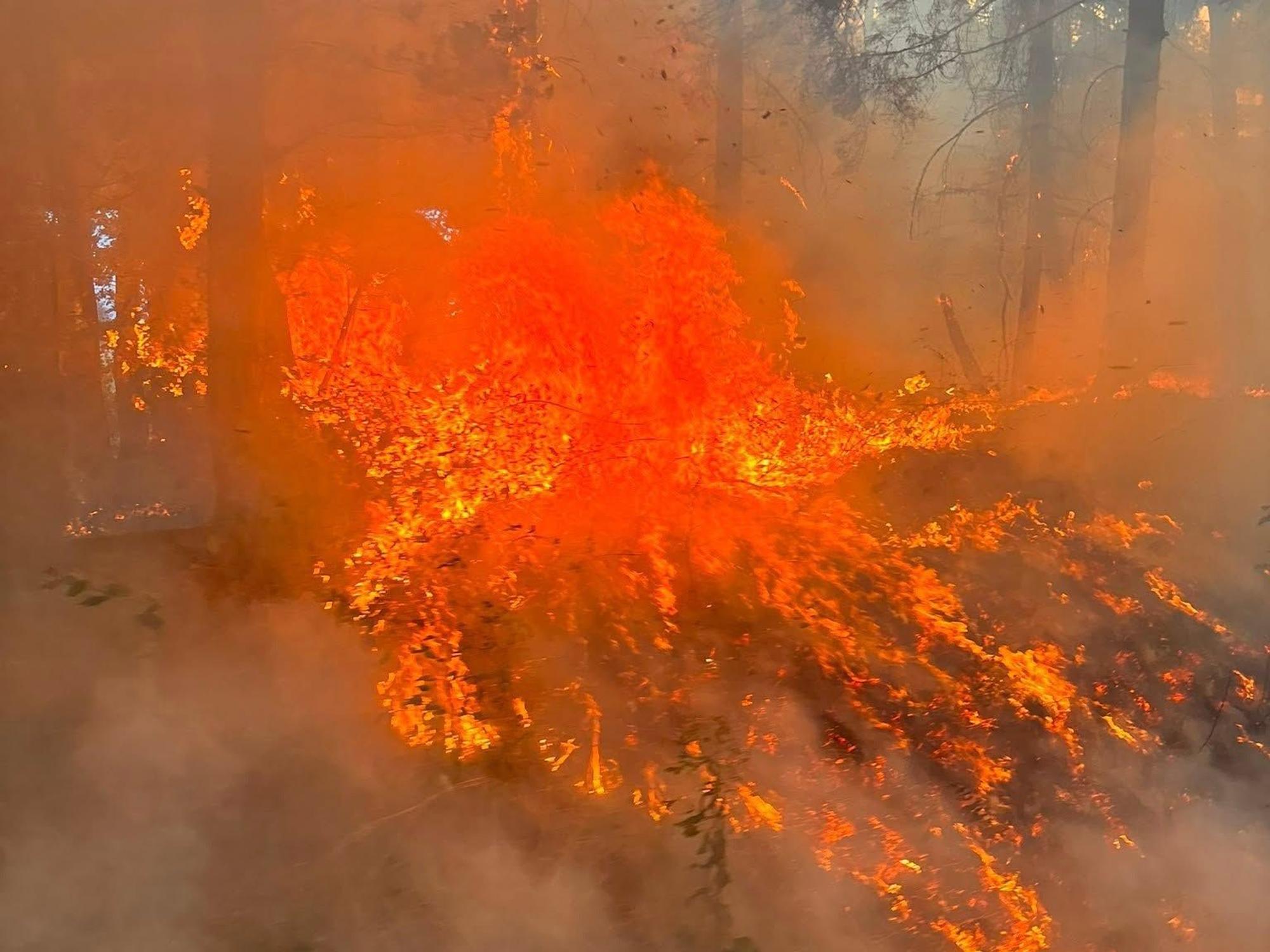 Waldbrand nahe der Ortschaft Wielspütz (bei Mechernich) am 30. August 2026.