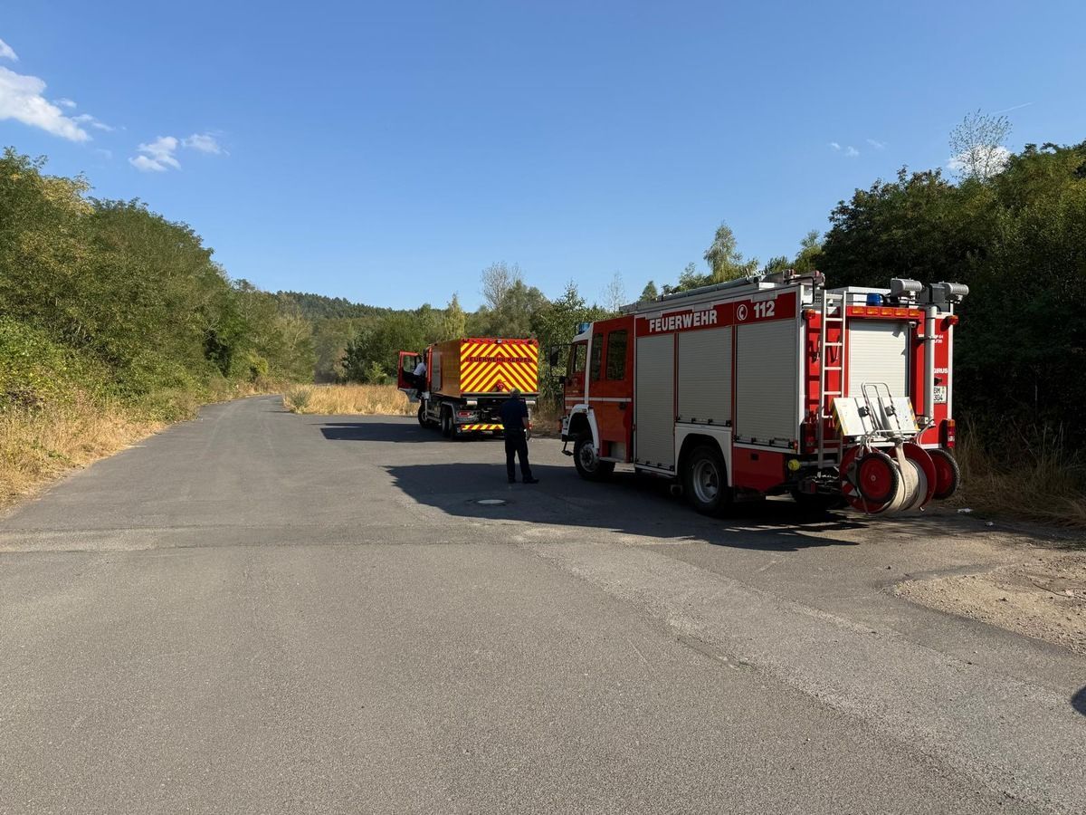 Mehr als 120 Einsatzkräfte kämpfen in mehreren Abschnitten gegen die Flammen.