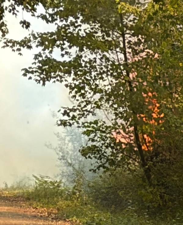 Foto: Feuerwehr Bergheim