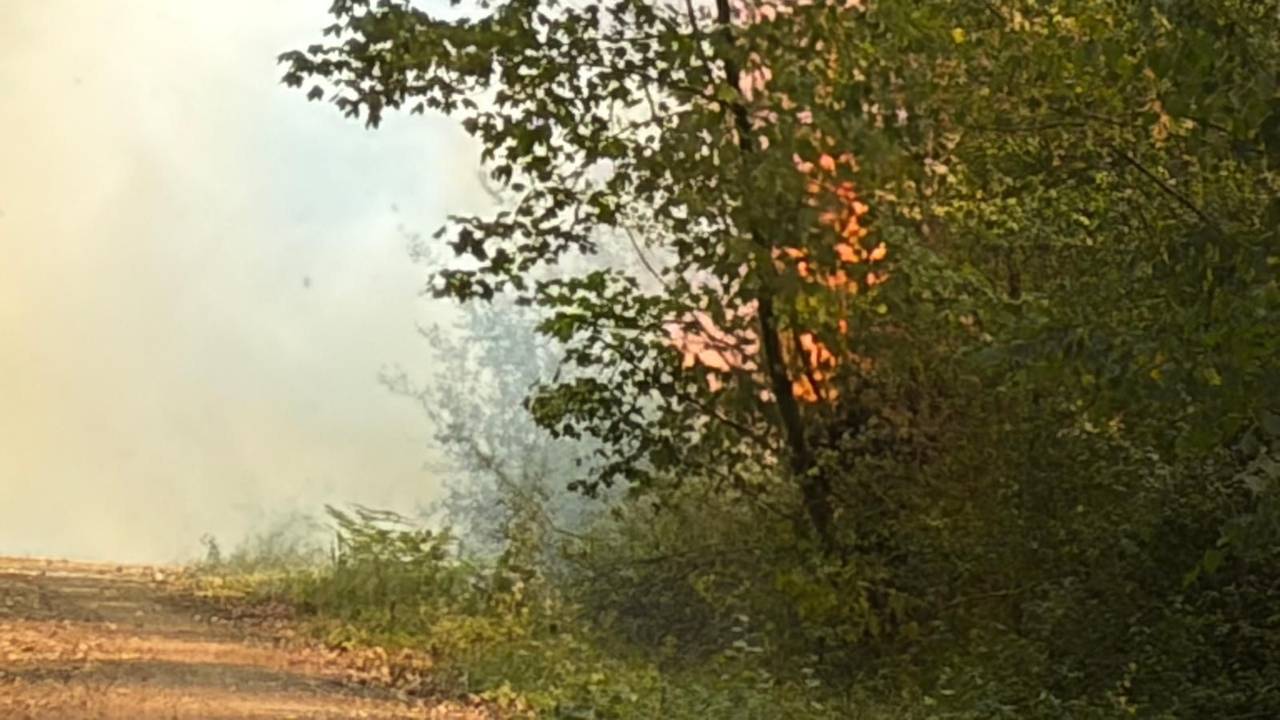 Foto: Feuerwehr Bergheim