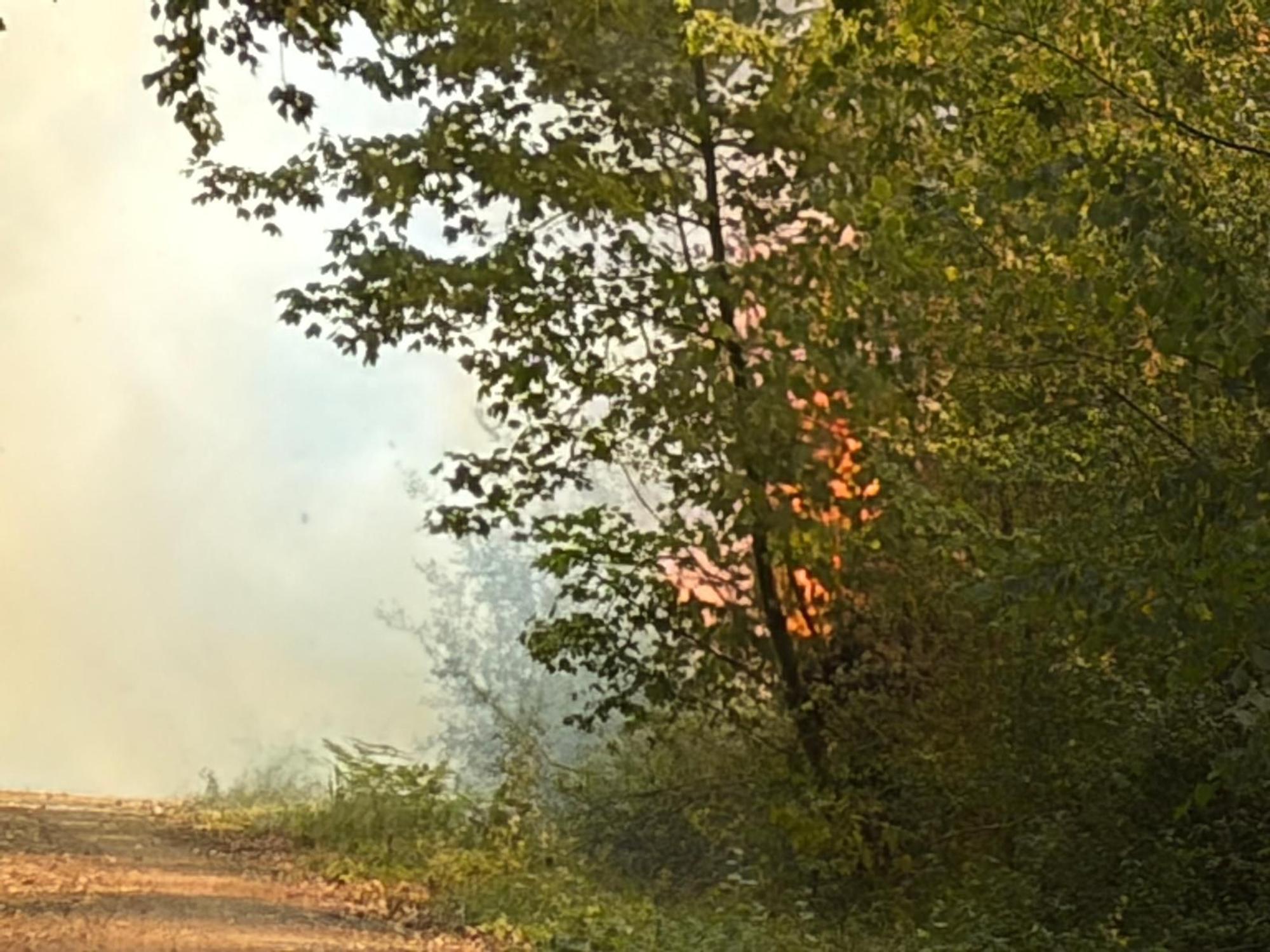 Foto: Feuerwehr Bergheim