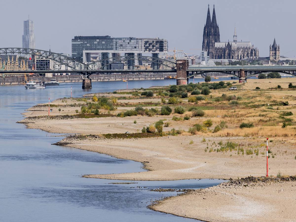 Binnenschiffe fahren bei Niedrigwasser vor der Kulisse des Kölner Doms über den Rhein.