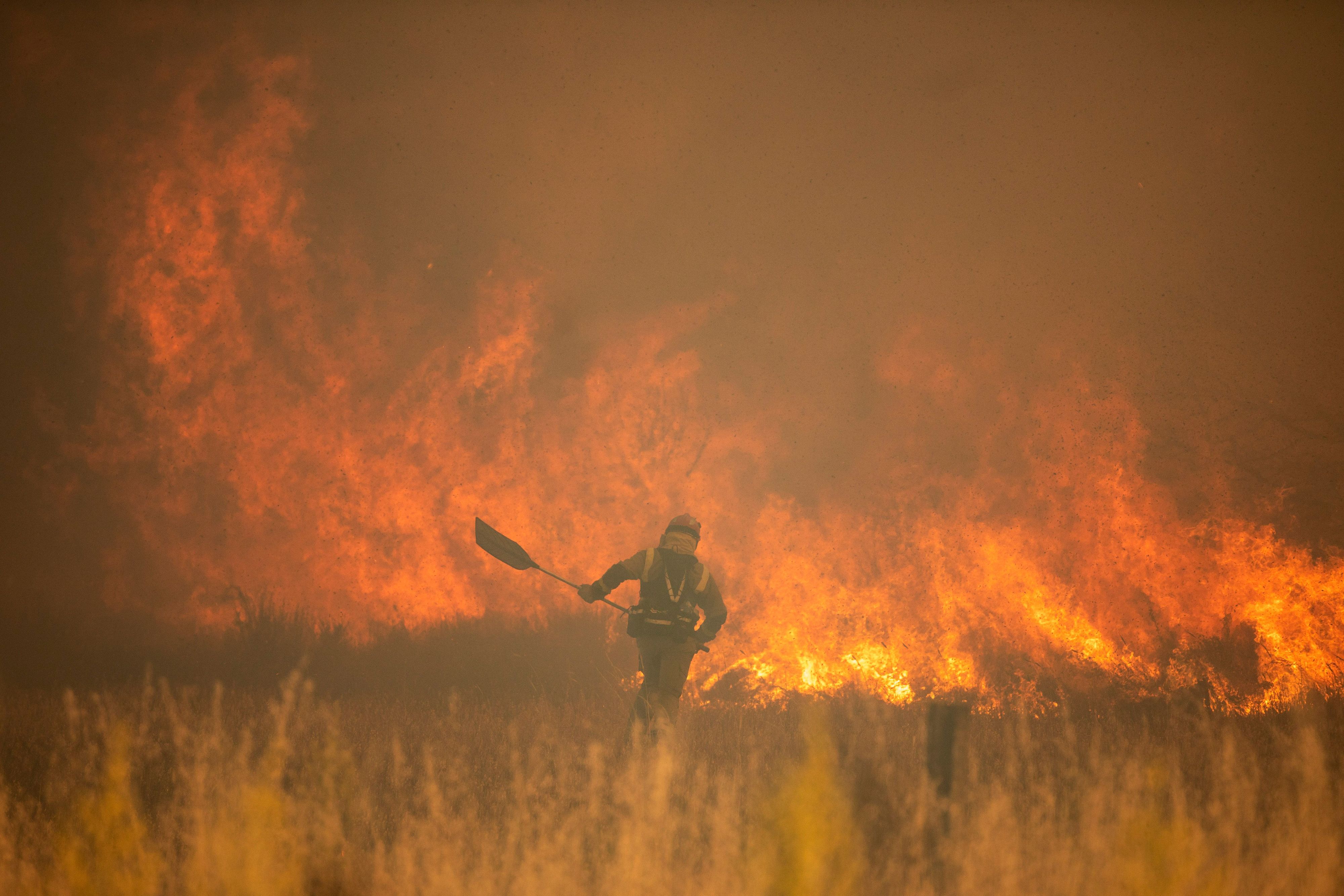 Ein Feuerwehrmann ist während eines Waldbrandes in der Provinz Zamora in der Region Kastilien-Leon im Nordwesten Spaniens im Einsatz.