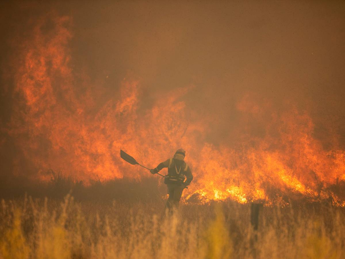 Ein Feuerwehrmann ist während eines Waldbrandes in der Provinz Zamora in der Region Kastilien-Leon im Nordwesten Spaniens im Einsatz.