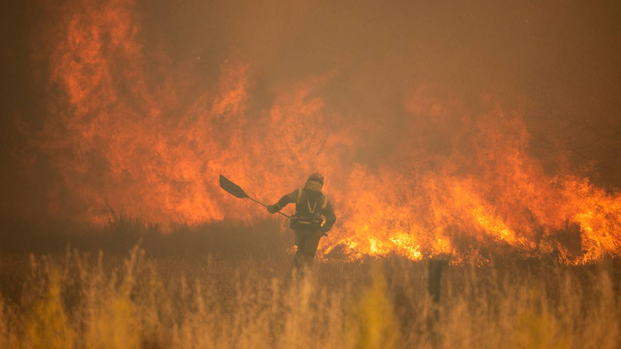 Ein Feuerwehrmann ist während eines Waldbrandes in der Provinz Zamora in der Region Kastilien-Leon im Nordwesten Spaniens im Einsatz.