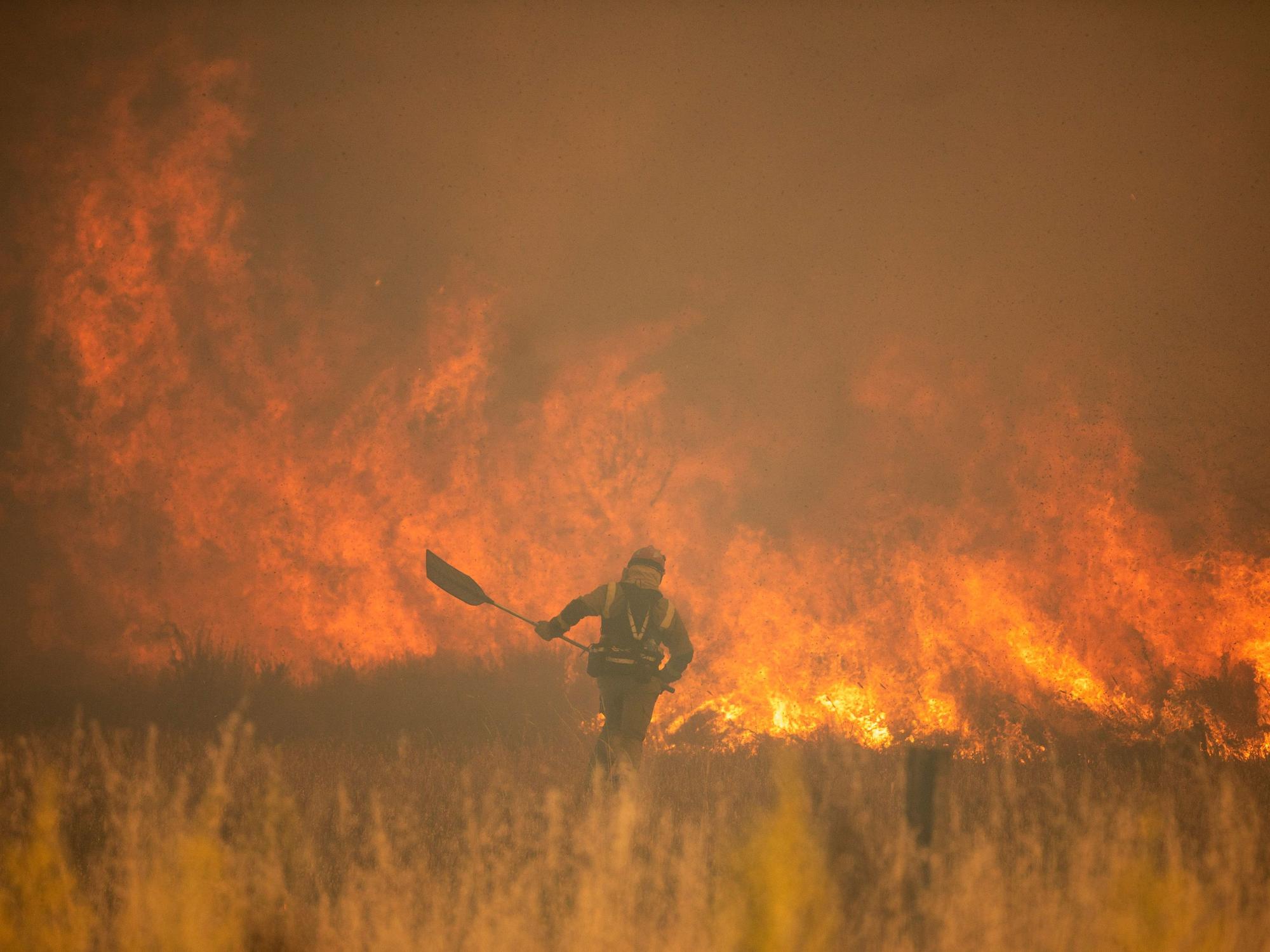 Ein Feuerwehrmann ist während eines Waldbrandes in der Provinz Zamora in der Region Kastilien-Leon im Nordwesten Spaniens im Einsatz.
