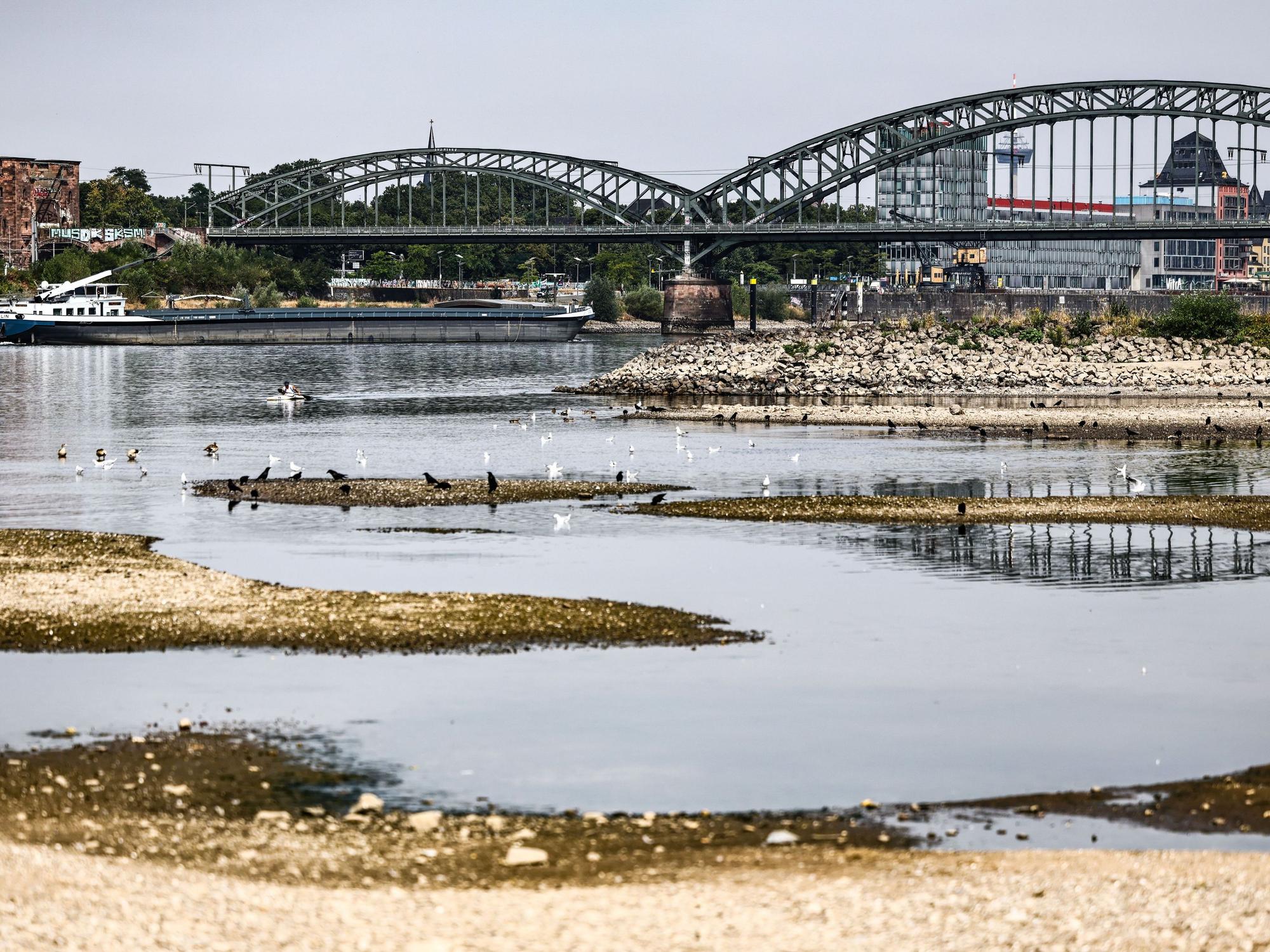 Die Kölner Südbrücke am 31. Juli