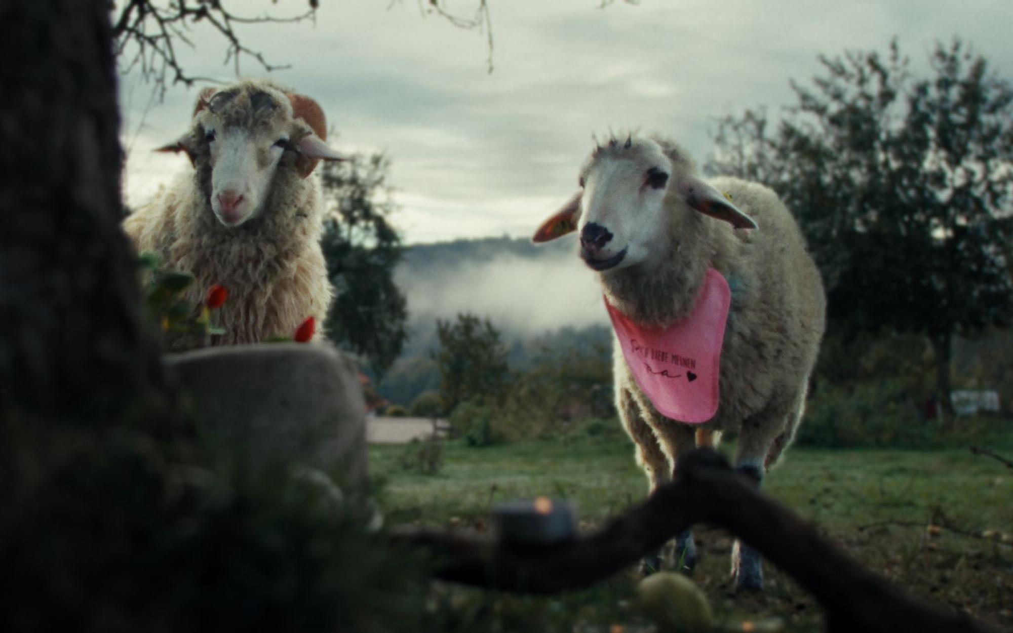 Die mehrfach preisgekrönte ZDF-Serie „Sheep“ setzt echte Schafe in Szene, deren Mundbewegungen für die Dialoge animiert wurde. Oliver (Merlin Sandmeyer) und Lara (Birgit Minichmayr) trauern um einen Verlust. (Bild: ZDF und Patrick Wally)