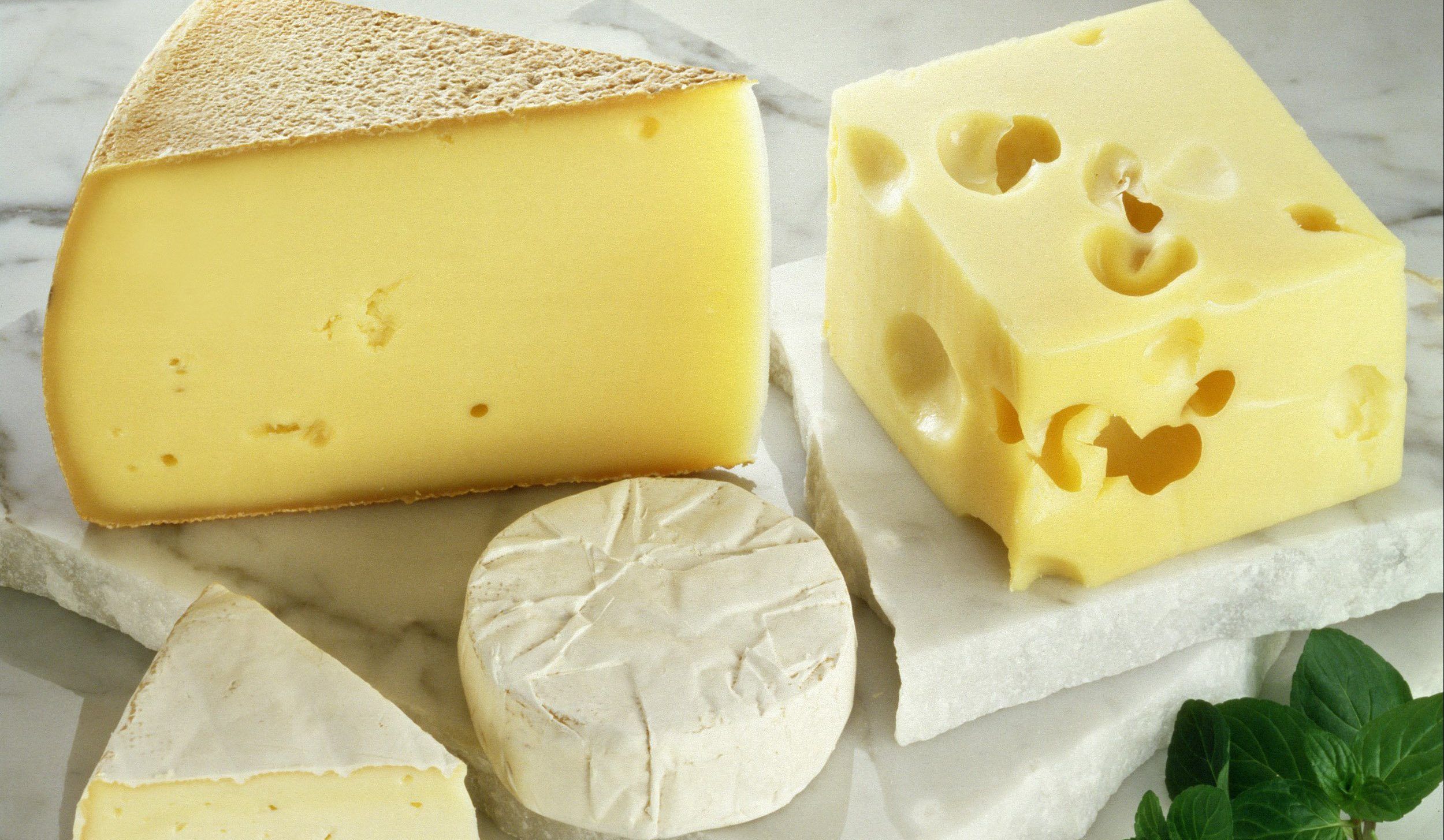 Zum Themendienst-Bericht "Ernährung/Ratgeber/KORR/" von Eva Neumann vom 21. September: Ob weich oder fest: Rohmilchkäse schmeckt in der Regel kräftiger als normaler Käse. (Die Veröffentlichung ist für dpa-Themendienst-Bezieher honorarfrei. Quellenhinweis: "CMA/dpa/tmn") +++ +++