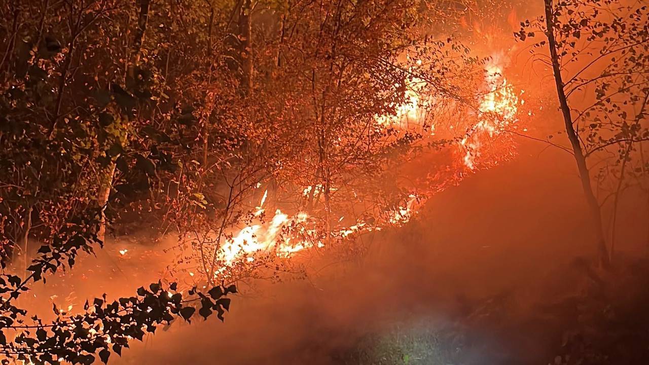 An einer Böschung brennt die Vegetation.
