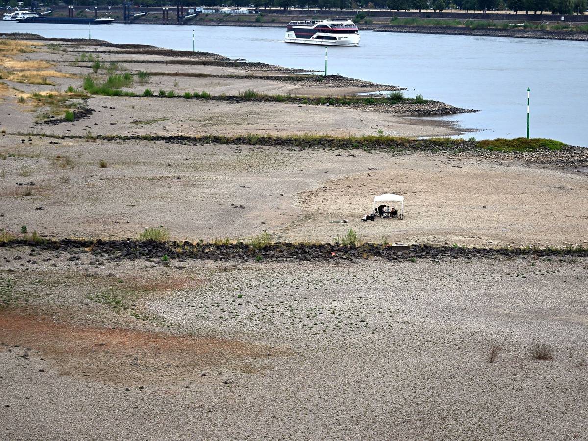 Niedrigwasser im Rhein