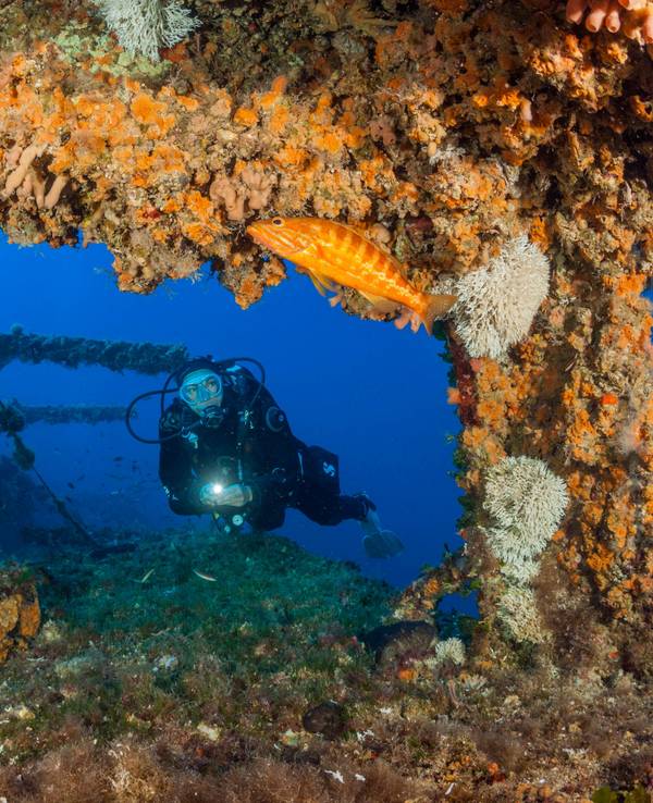 Taucher im Schiffswrack mit Fischen.