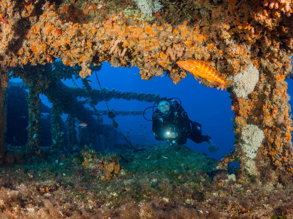 Taucher im Schiffswrack mit Fischen.