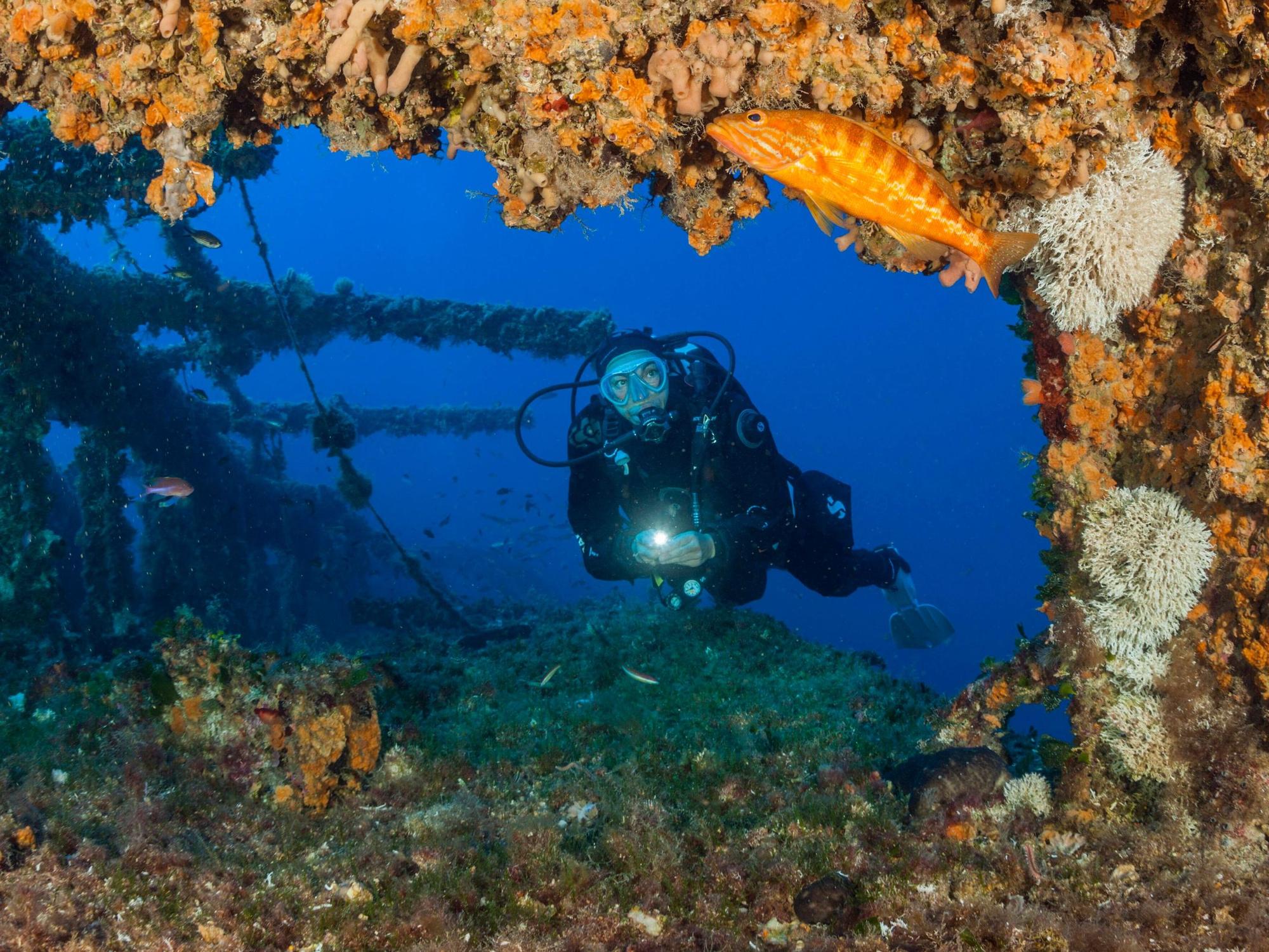 Taucher im Schiffswrack mit Fischen.