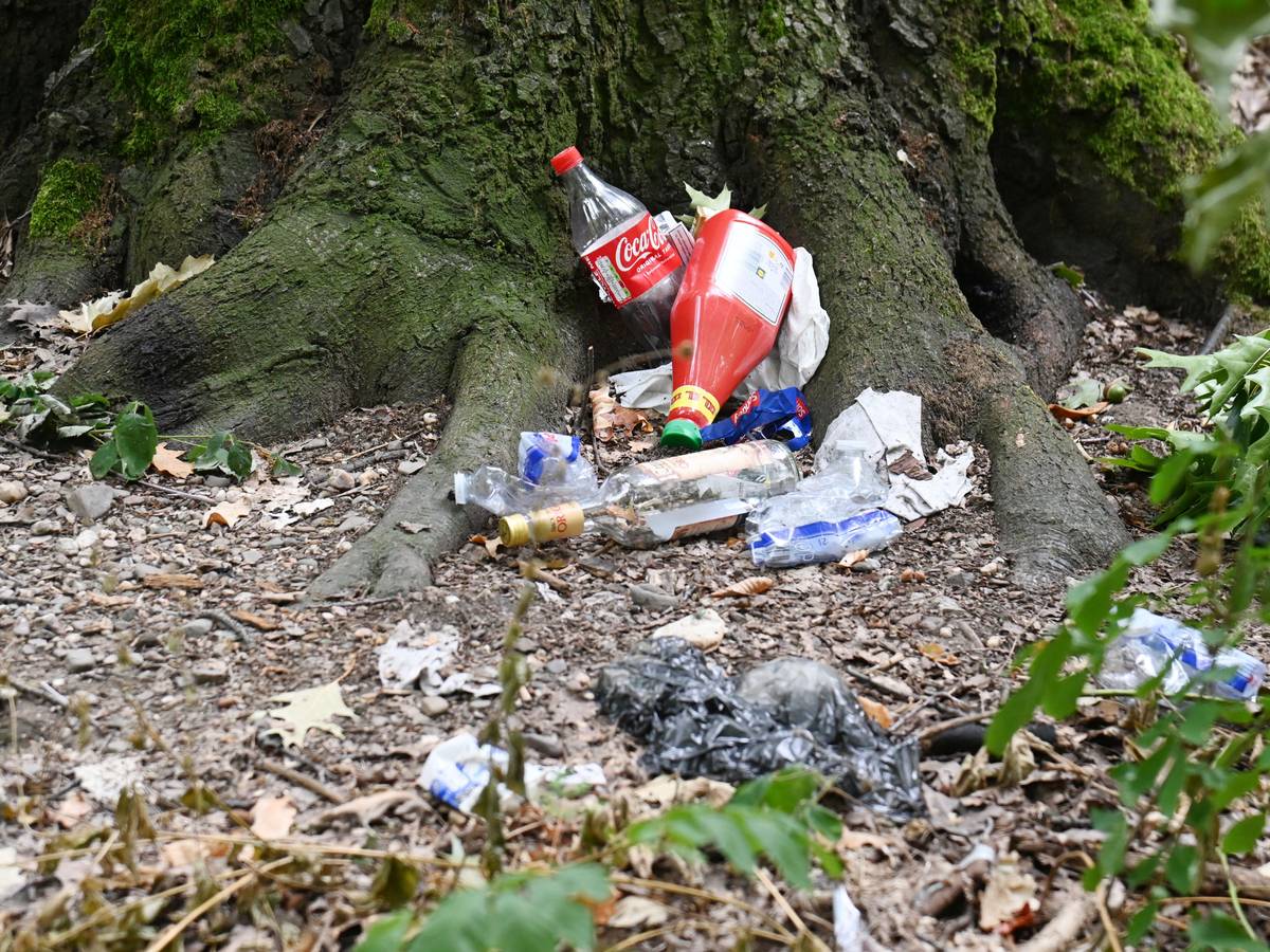Unweit der Lkw-Stellplätze am Militärring auf Höhe der Herforder Straße türmt sich der Abfall. Die Gegend wird als illegale Müllhalde missbraucht.