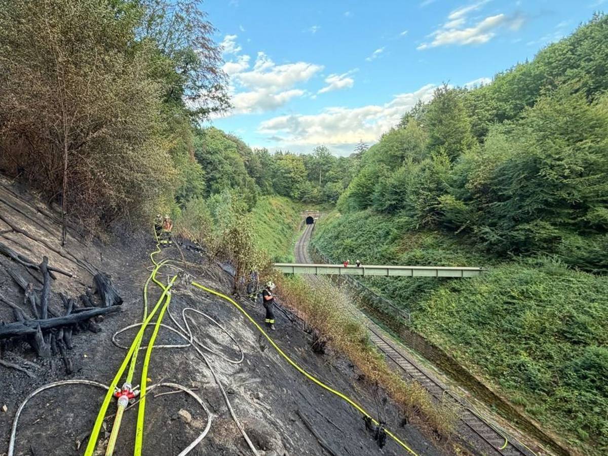 Waldbrand am Lüderich in Rösrath.