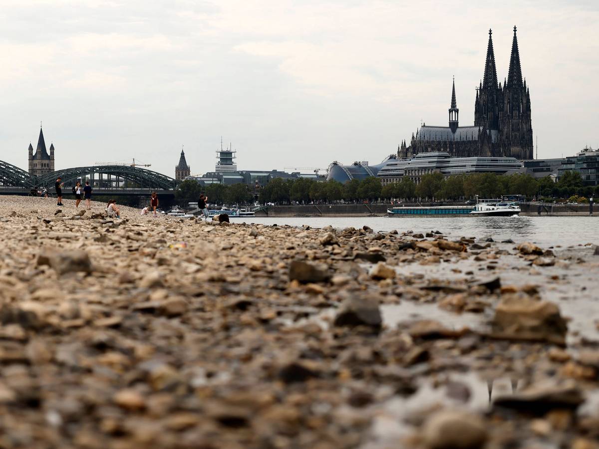 Der Rheinpegel ist in Köln und Bonn auf einem Rekordtief.