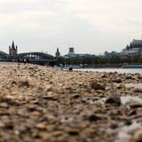 Spaziergänger stehen Anfang August im ausgetrockneten Teil des Flussbetts – im Hintergrund eine Rheinfähre und der Kölner Dom.