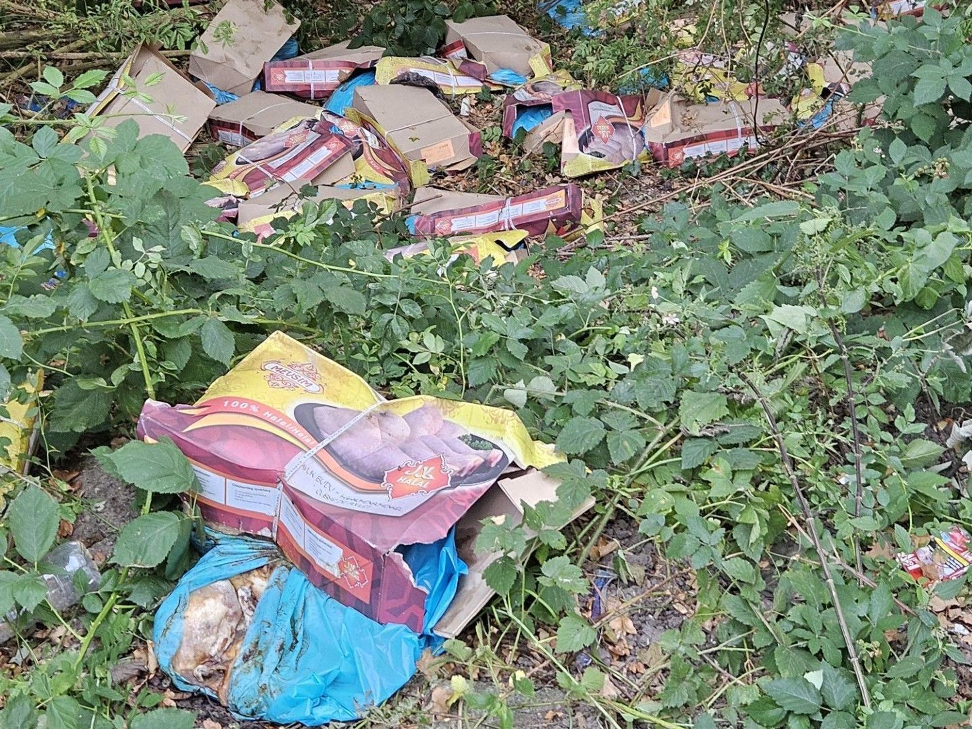Das vergammelnde Fleisch im Karton