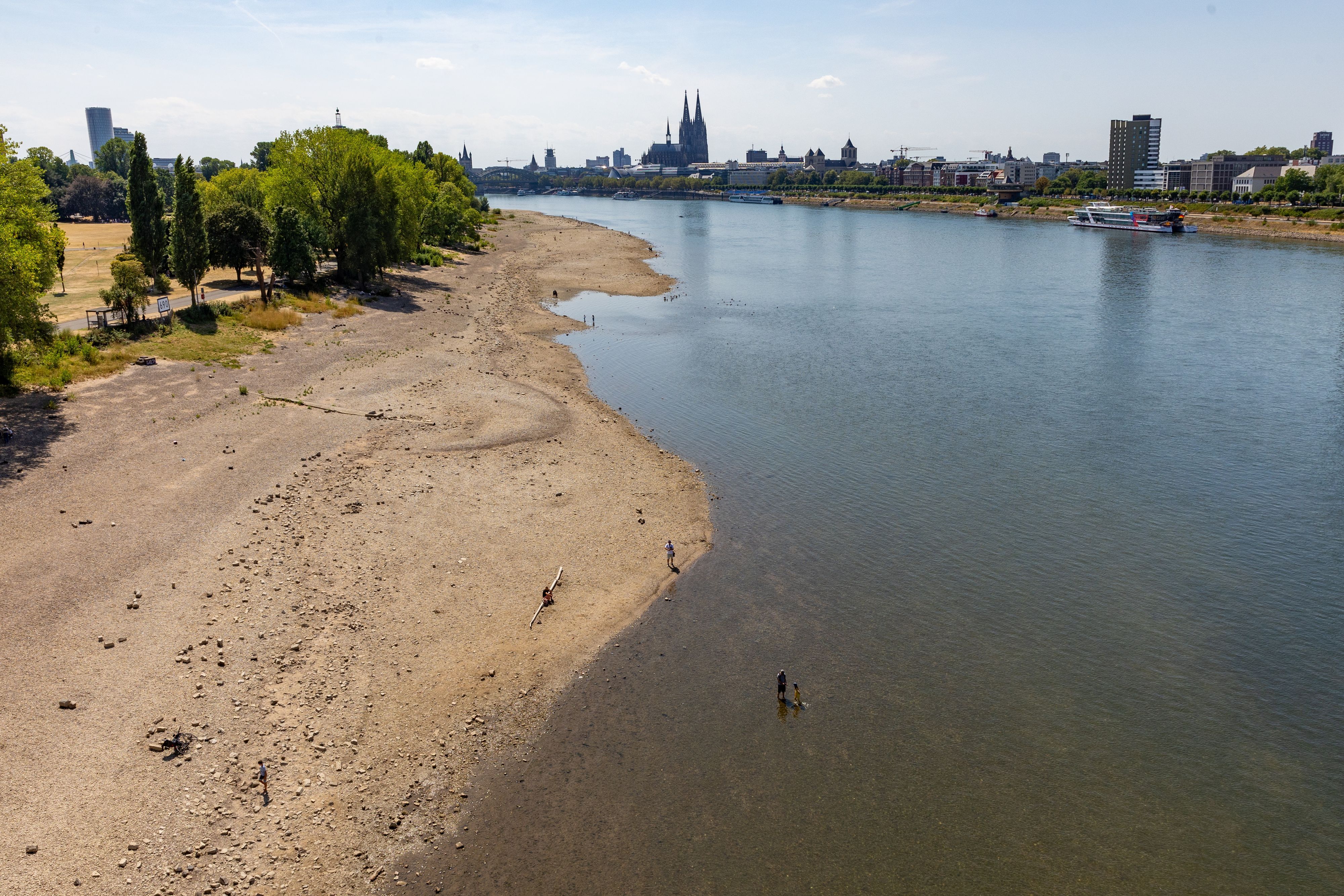 Der Rhein in Köln mit Niedrigwasser
