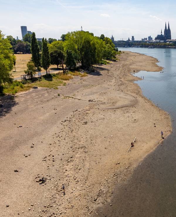 Der Rhein in Köln mit Niedrigwasser