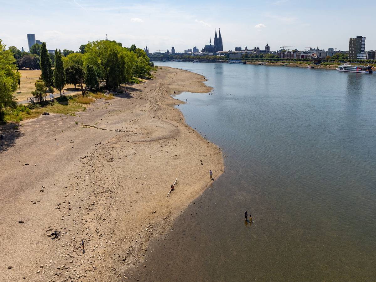Der Rhein in Köln mit Niedrigwasser