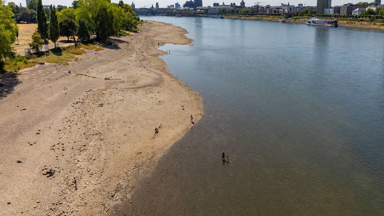 Der Rhein in Köln mit Niedrigwasser