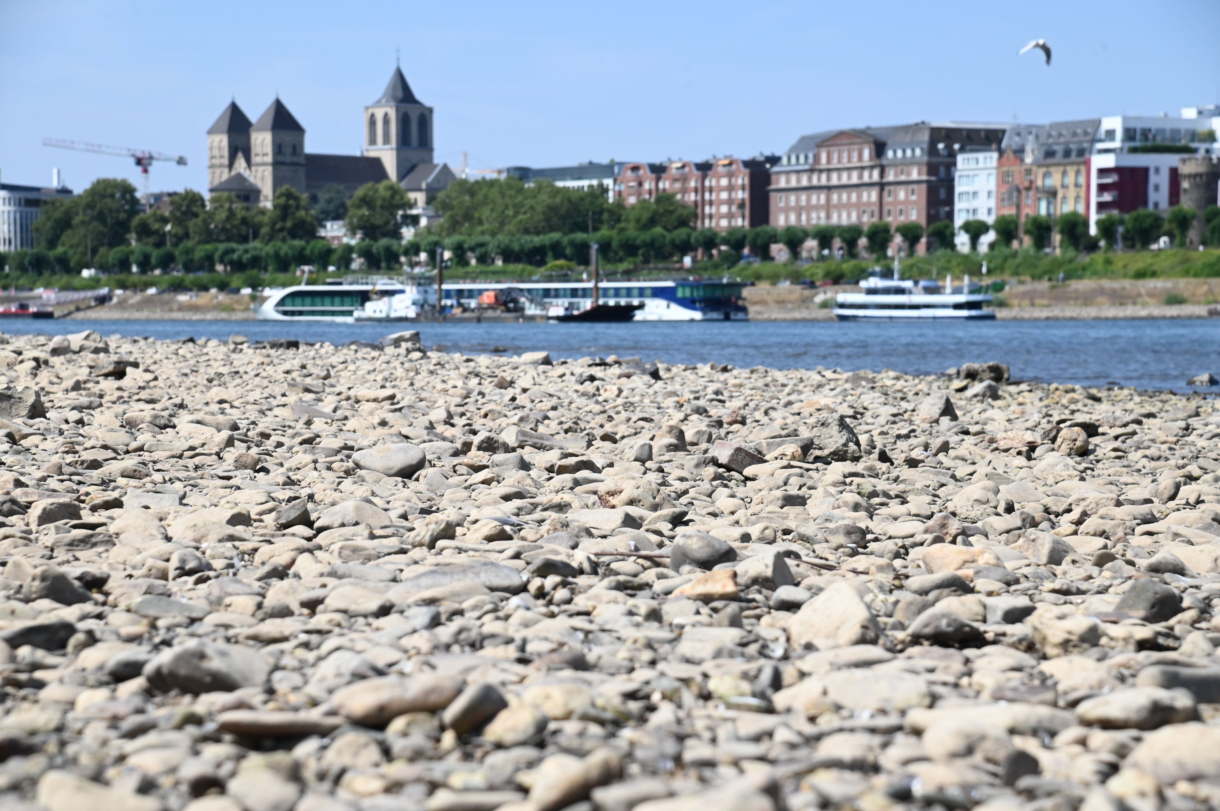 Niedrigwasser im Rhein – in Köln wurde jetzt ein Blindgänger gefunden.
