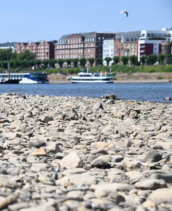Der Rhein führt Niedrigwasser.