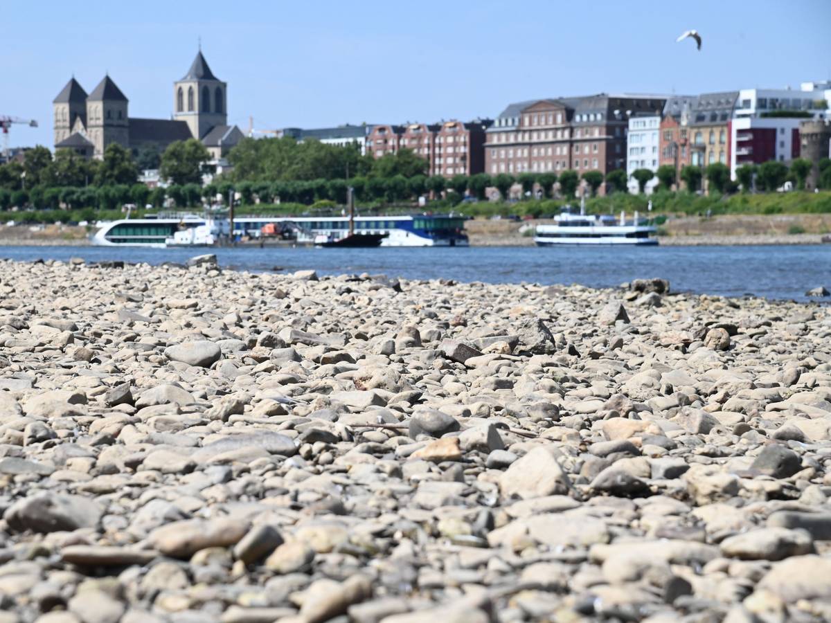 Der Rhein führt Niedrigwasser.