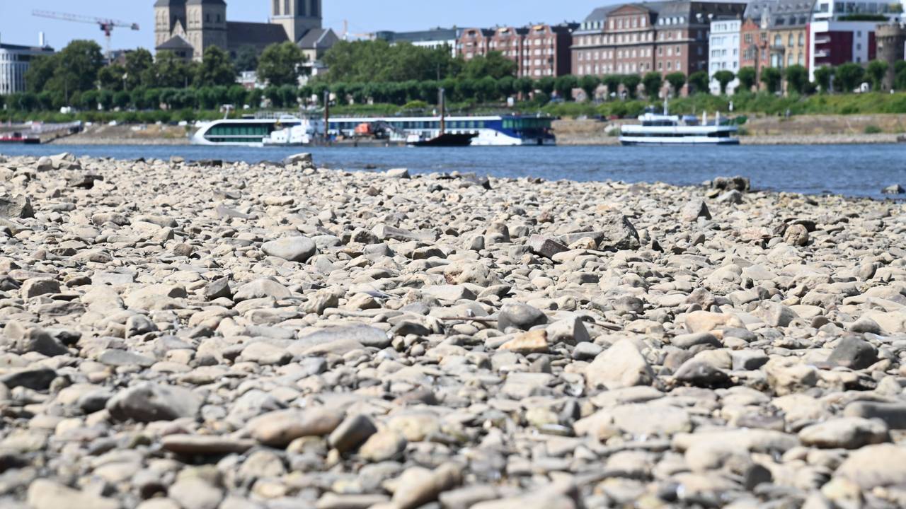 Der Rhein führt Niedrigwasser.