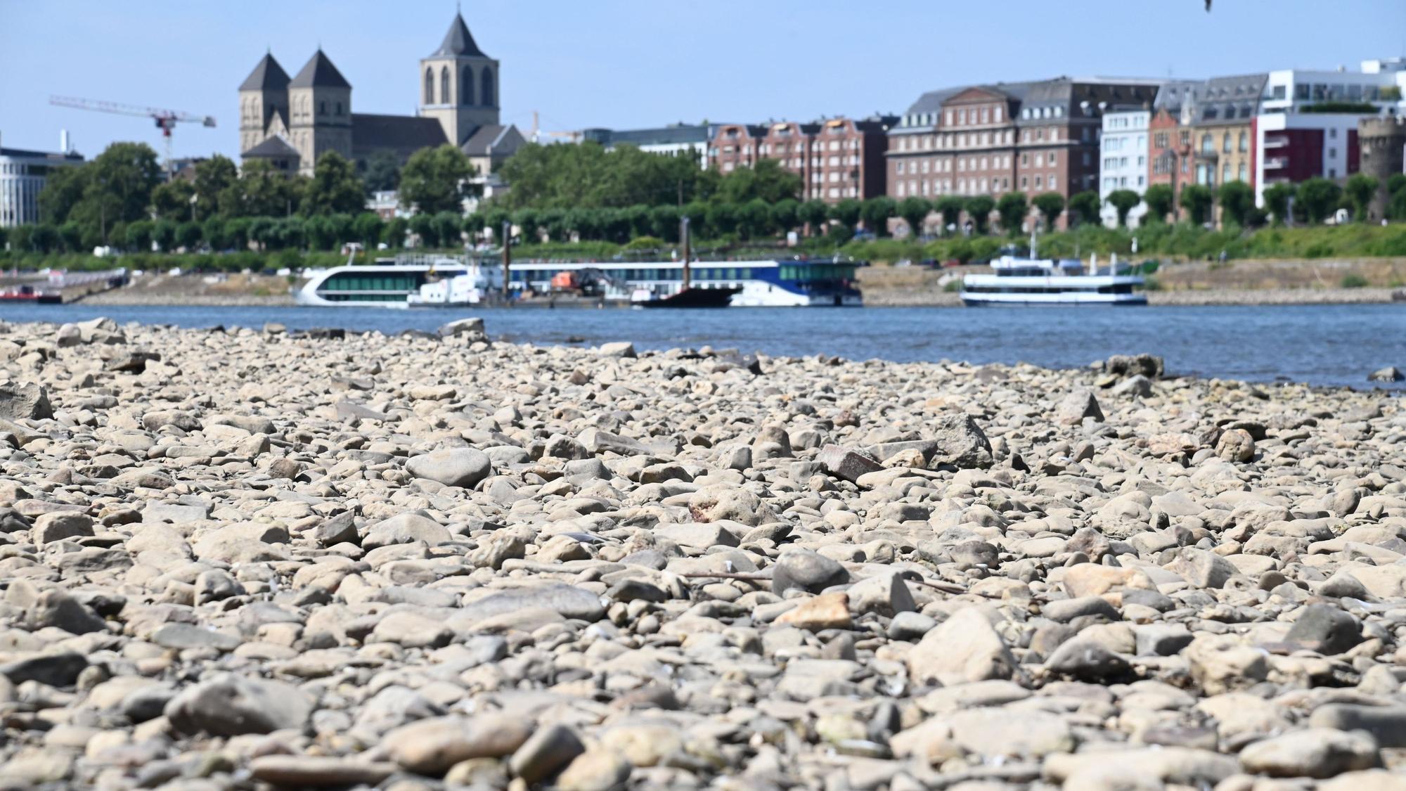 Niedrigwasser im Rhein – in Köln wurde jetzt ein Blindgänger gefunden.