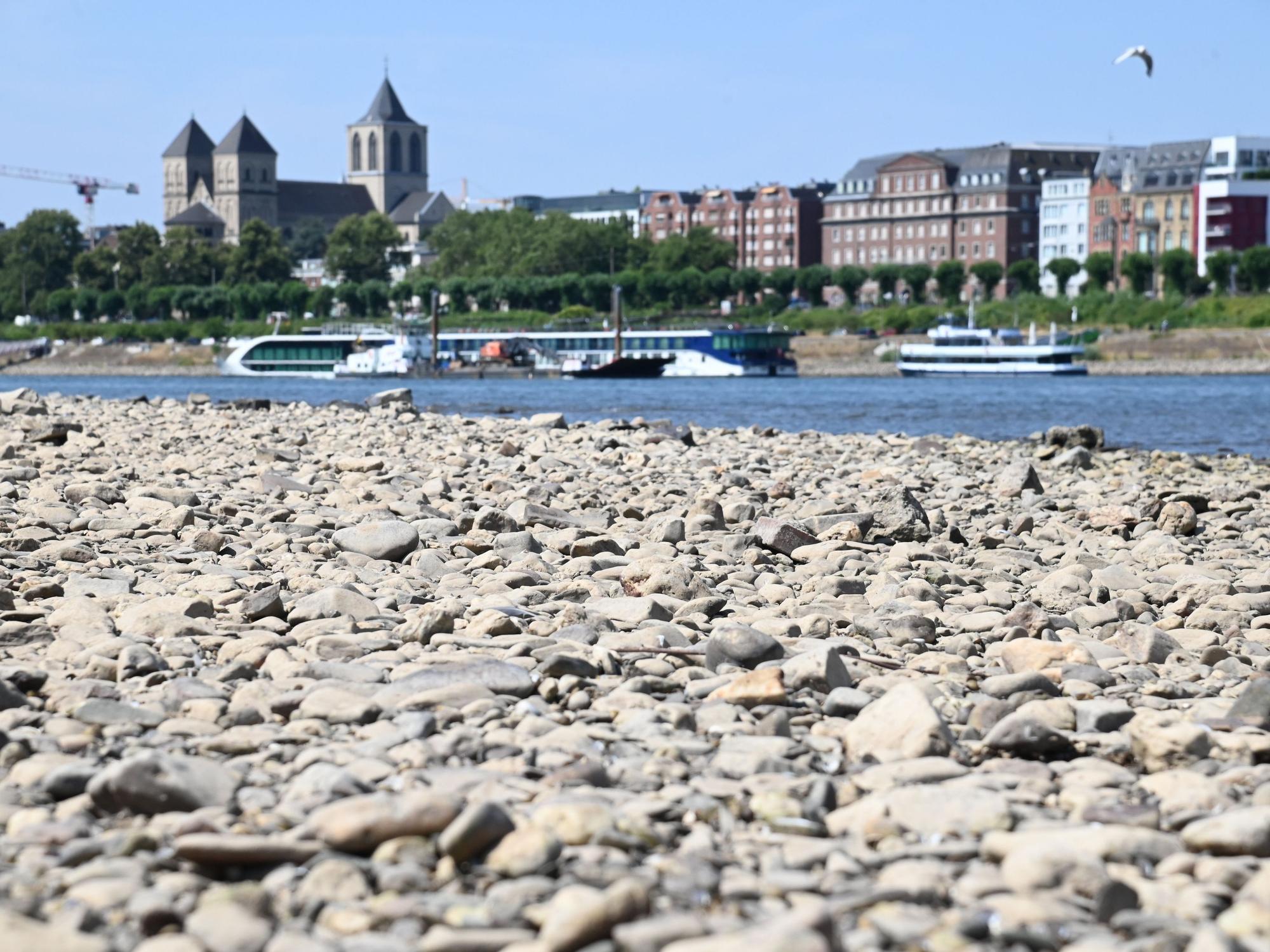 Der Rhein führt Niedrigwasser.