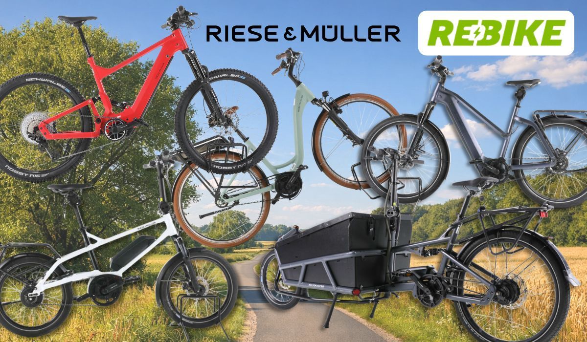 Riese & Müller E-Bike Modelle wie City-Bike, Mountian Bike und Lastenrad an einem sonnigen Tag vor einer Landstraße mit Wiesen, Feldern und Wald.