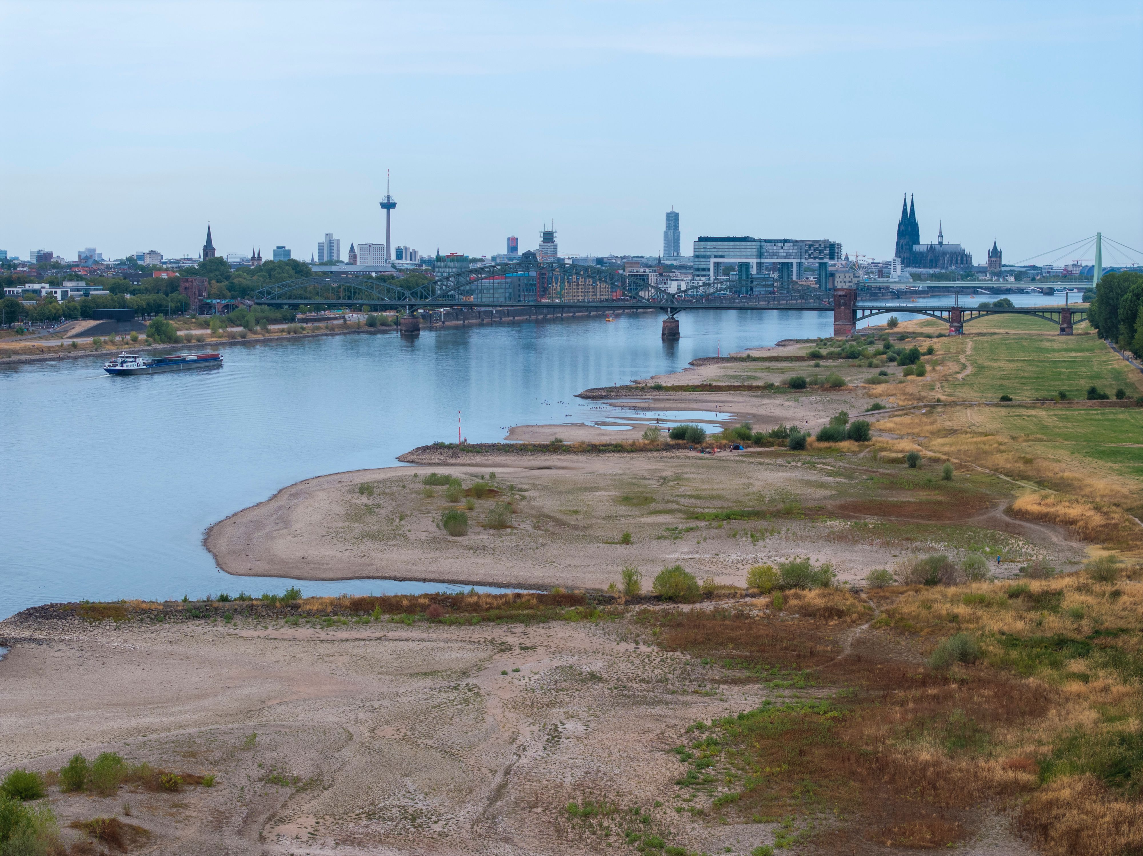 Im Juni und Juli war es so heiß wie nie zuvor. Die Auswirkungen sind deutlich sichtbar, wie hier am Rhein in Köln.
