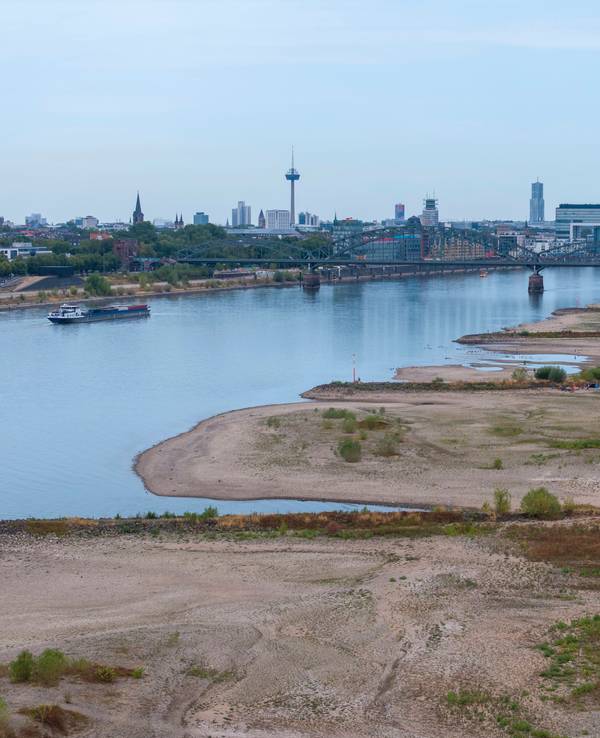 Im Juni und Juli war es so heiß wie nie zuvor. Die Auswirkungen sind deutlich sichtbar, wie hier am Rhein in Köln.