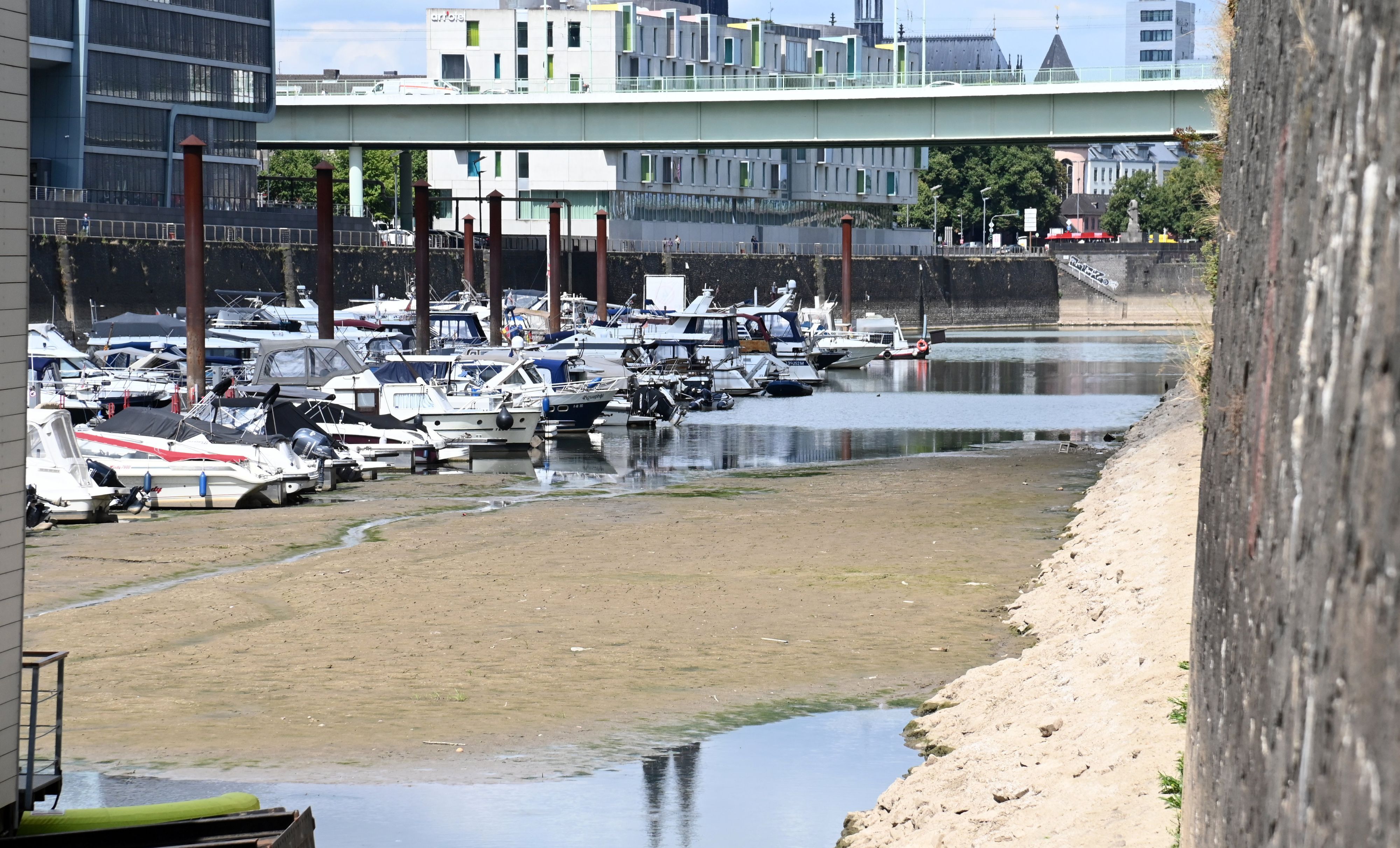 Der Rhein führt extremes Niedrigwasser, wie hier im Kölner Rheinauhafen. Die Trockenheit der letzten Monate sorgt für rekordniedrige Pegelstände.
