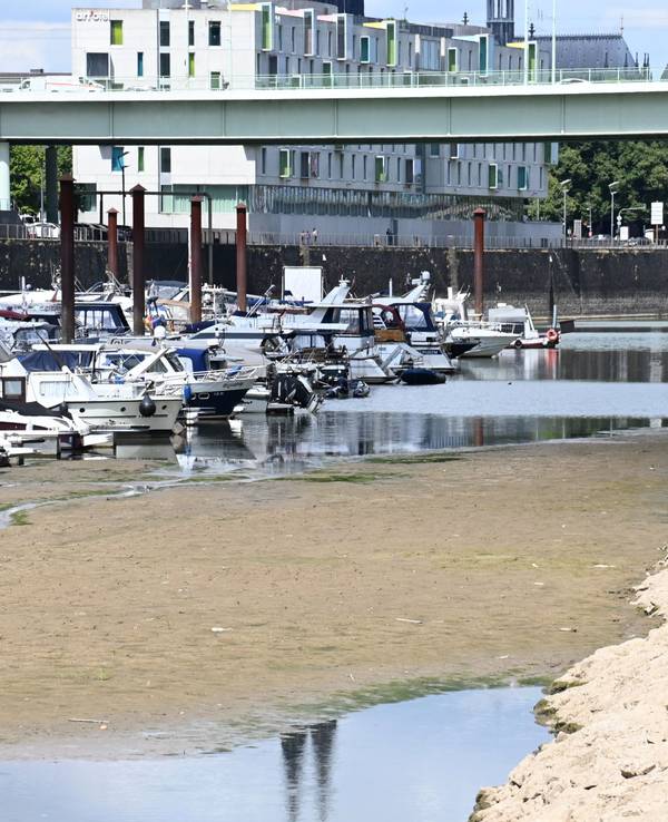 Der Rhein führt extremes Niedrigwasser, wie hier im Kölner Rheinauhafen. Die Trockenheit der letzten Monate sorgt für rekordniedrige Pegelstände.