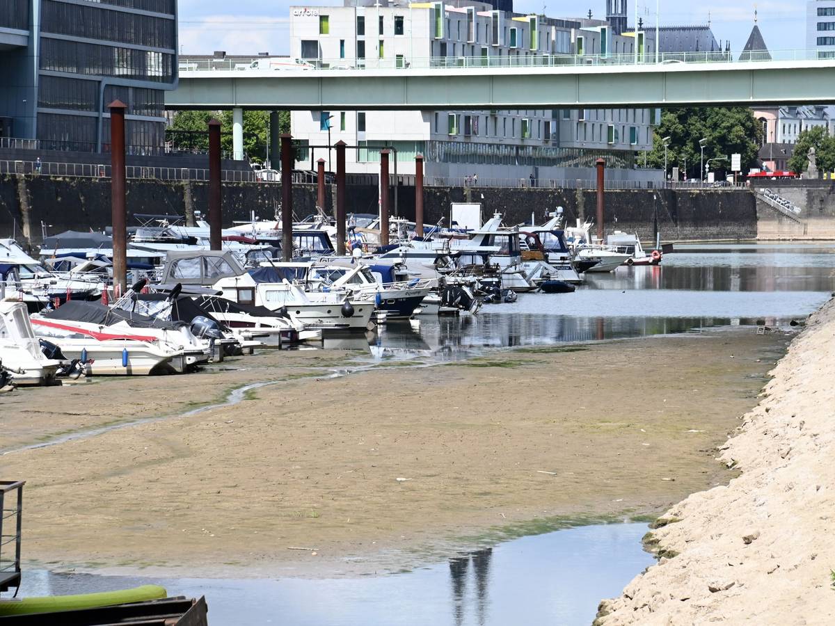 Der Rhein führt extremes Niedrigwasser, wie hier im Kölner Rheinauhafen. Die Trockenheit der letzten Monate sorgt für rekordniedrige Pegelstände.