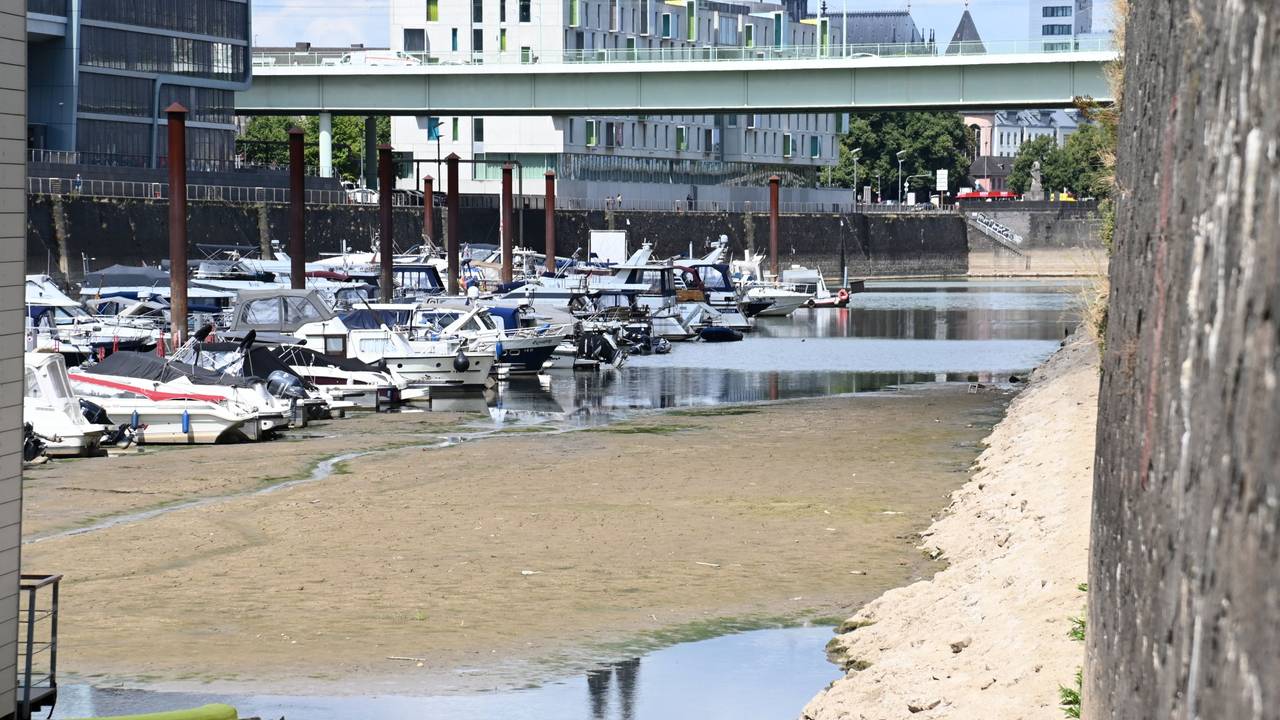 Der Rhein führt extremes Niedrigwasser, wie hier im Kölner Rheinauhafen. Die Trockenheit der letzten Monate sorgt für rekordniedrige Pegelstände.