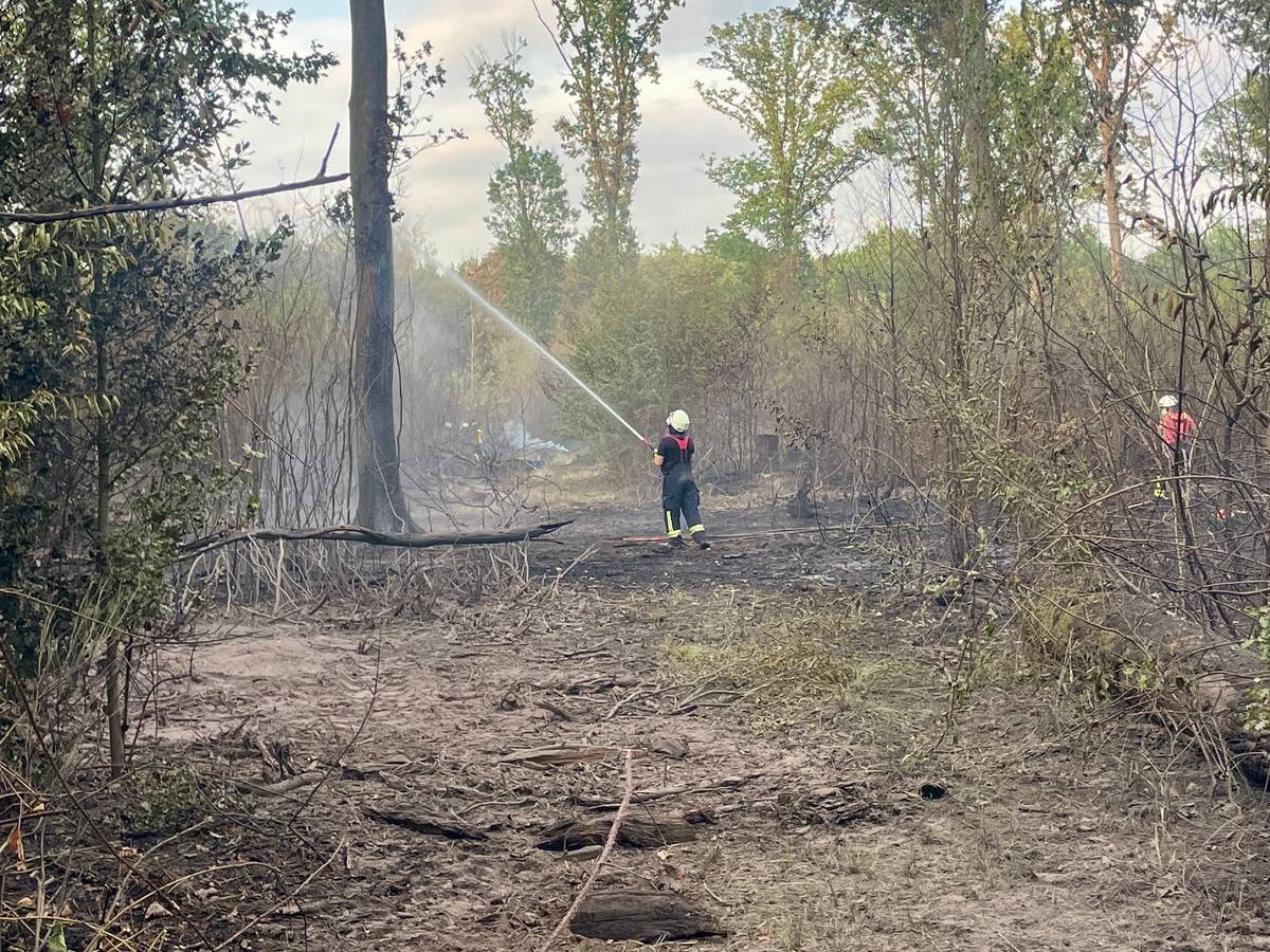 Ein Feuerwehrmann bei Löscharbeiten im Wald